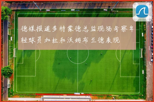 德媒报道多特蒙德总监现场考察年轻球员加杜和沃姆布兰德表现