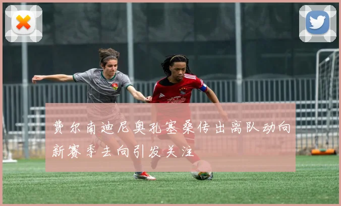 费尔南迪尼奥孔塞桑传出离队动向新赛季去向引发关注